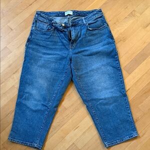 Lane Bryant Classic Blue Cropped Denim Jeans